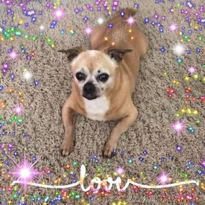 Meet your Posher, Sandi